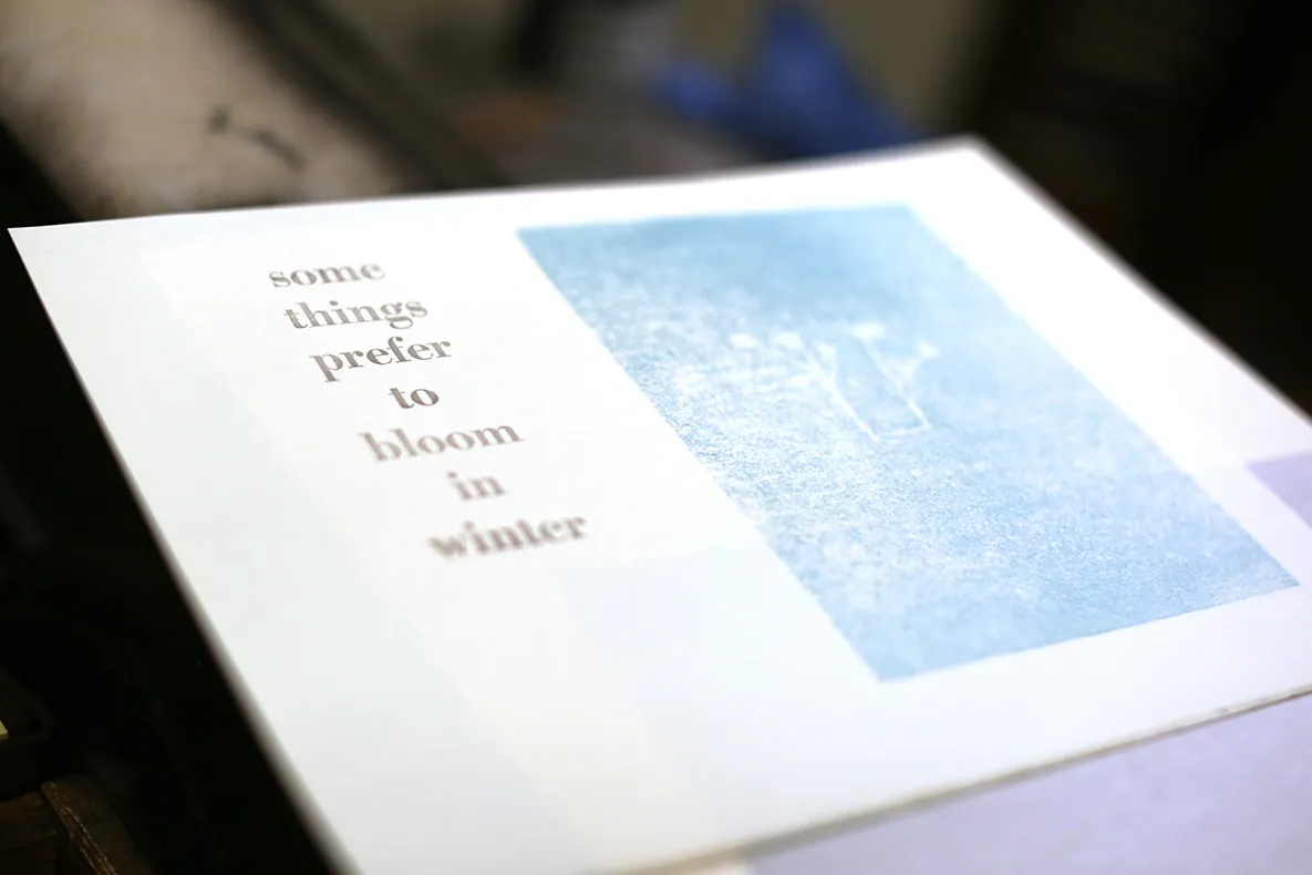 Broadsheet that says "some things prefer to bloom in winter."
