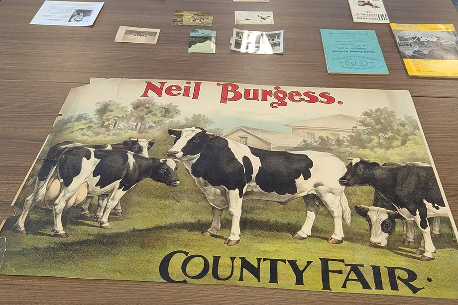 Cows for the win
