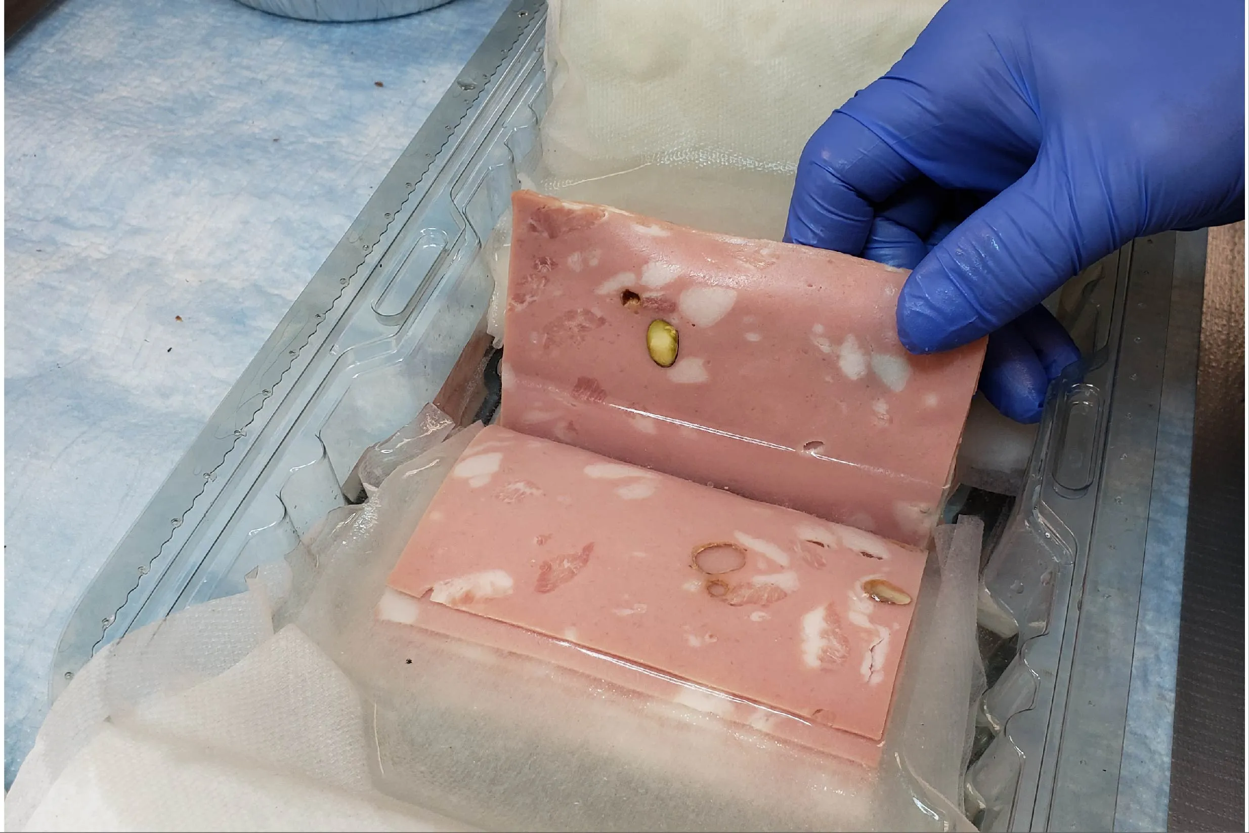 Meat book, held open by a blue-gloved hand and submerged in a bin of fluid