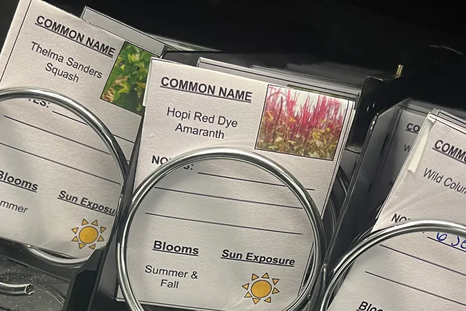 Packets of seeds in a vending machine, including Thelma Sanders Squash, Hopi Red Dye Amaranth, and Wild Columbine.