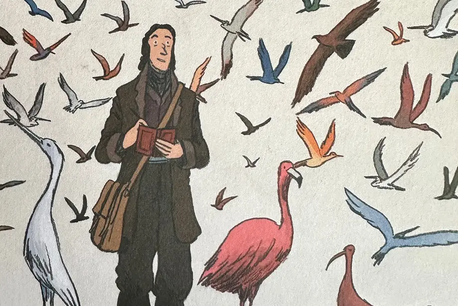 It’s not just about the birds
