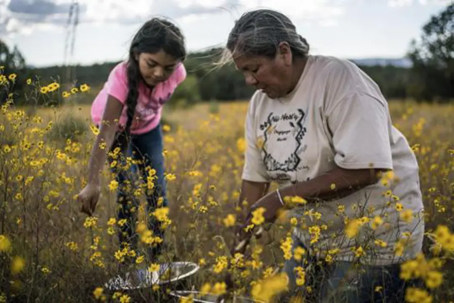 November is Native American Heritage Month