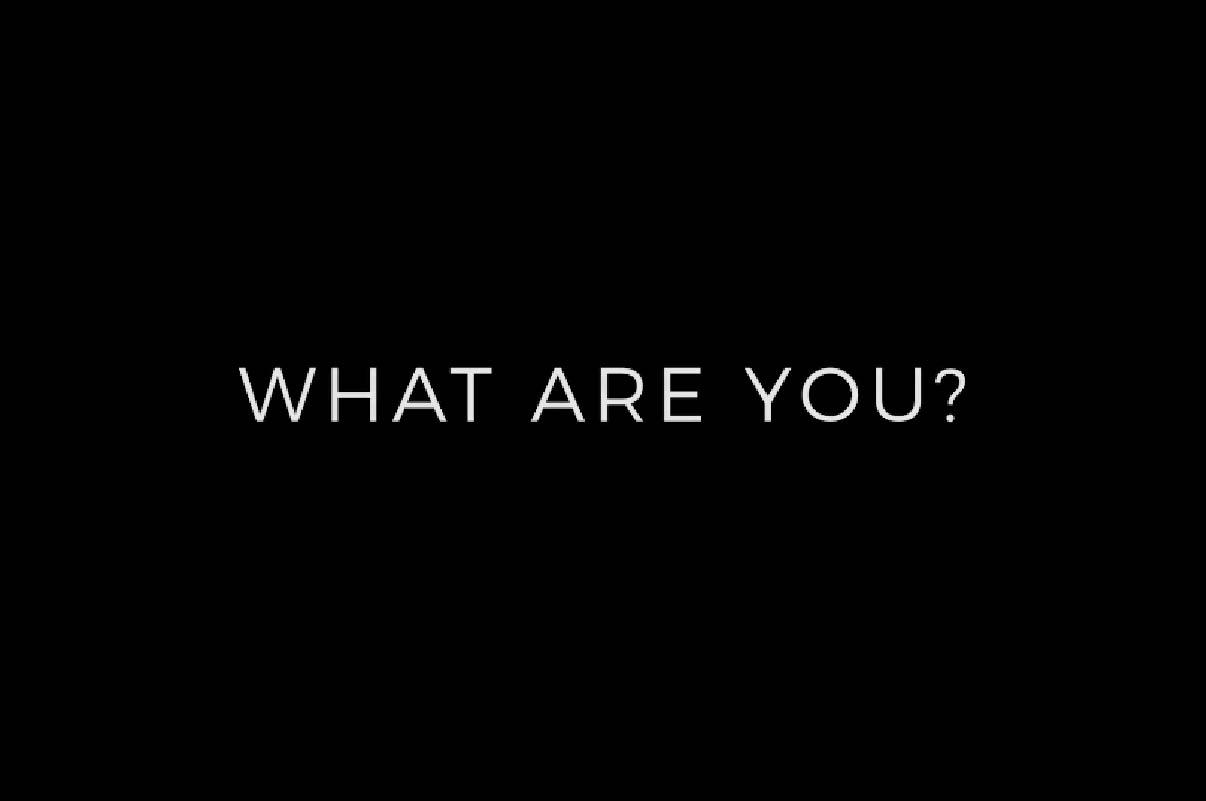 What are you?