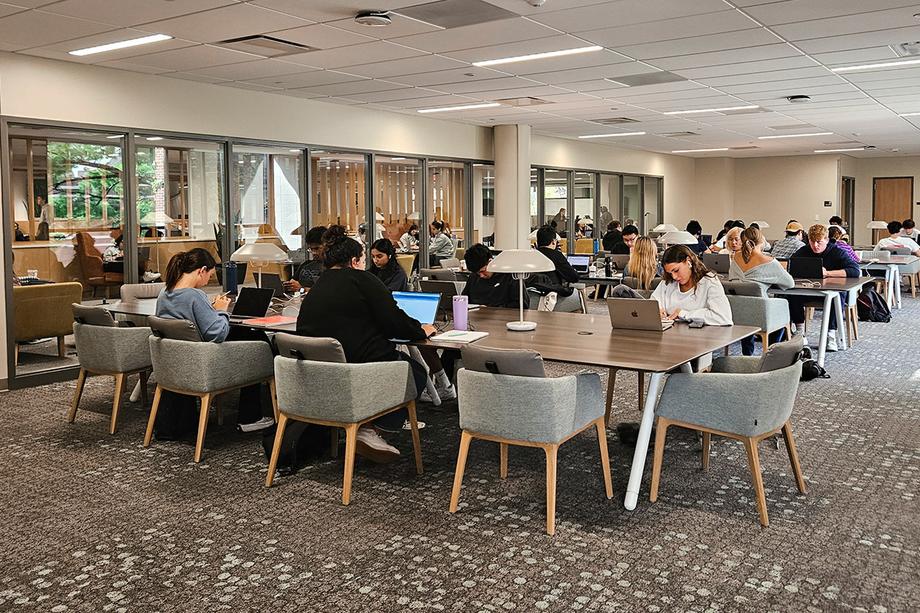 Students studying at long tables in the Shapiro Reading Room with a sunbeam coming through the window