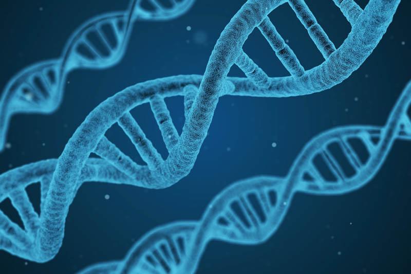 DNA double helix.